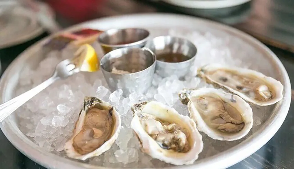 The image showcases a plate of raw oysters on ice accompanied by lemon wedges and small cups of condiments