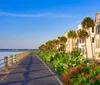 A serene waterfront promenade lined with palm trees and colorful flowers alongside elegant buildings under a clear blue sky