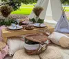 The image shows a cozy outdoor picnic setup with a low table comfortable cushions a basket and decorative elements including a sign that says Picnic with Puppies