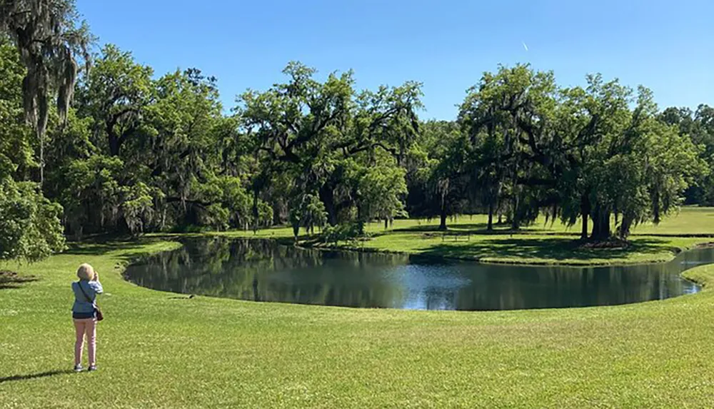 A child stands facing a serene pond surrounded by lush trees draped with Spanish moss under a clear blue sky