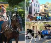 A horse-drawn carriage transports a group of tourists on a sunny day through a street lined with houses