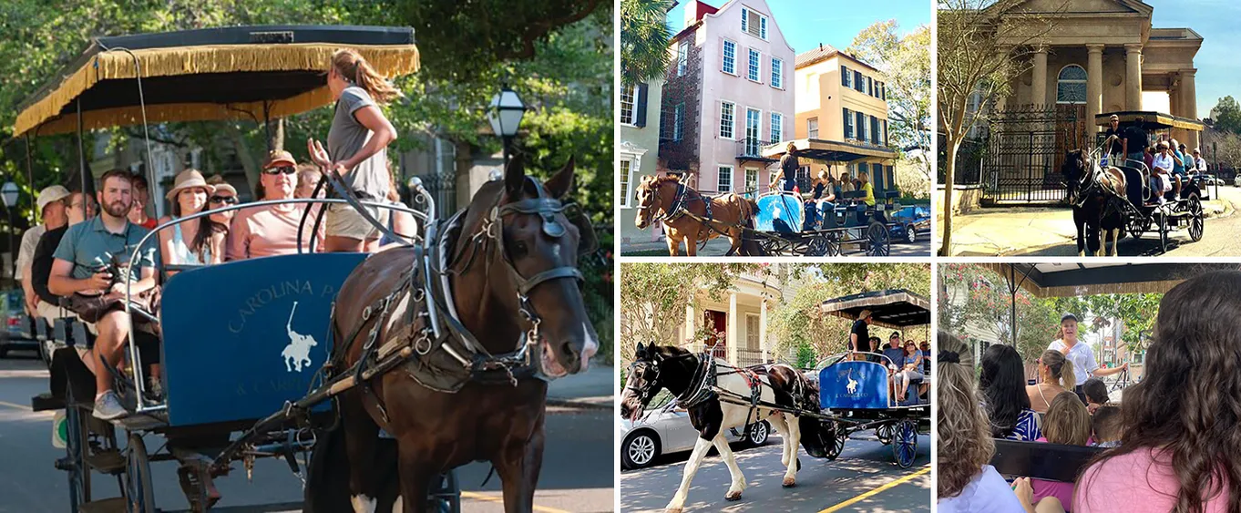 Historic Carriage Tour of Charleston