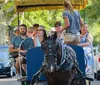 A horse-drawn carriage transports a group of tourists on a sunny day through a street lined with houses