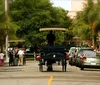 A horse-drawn carriage transports a group of tourists on a sunny day through a street lined with houses