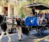 A horse-drawn carriage transports a group of tourists on a sunny day through a street lined with houses