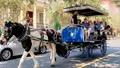 Historic Carriage Tour of Charleston Photo