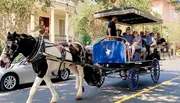 A horse-drawn carriage transports a group of tourists on a sunny day through a street lined with houses.