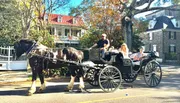 A horse-drawn carriage is carrying passengers down a street lined with trees and houses, suggesting a leisurely tour or historical ride.