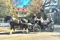 Private Historic Carriage Tour of Charleston Photo