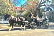 A horse-drawn carriage with two passengers and a driver moves along a tree-lined street, reminiscent of a historical or leisurely tour.