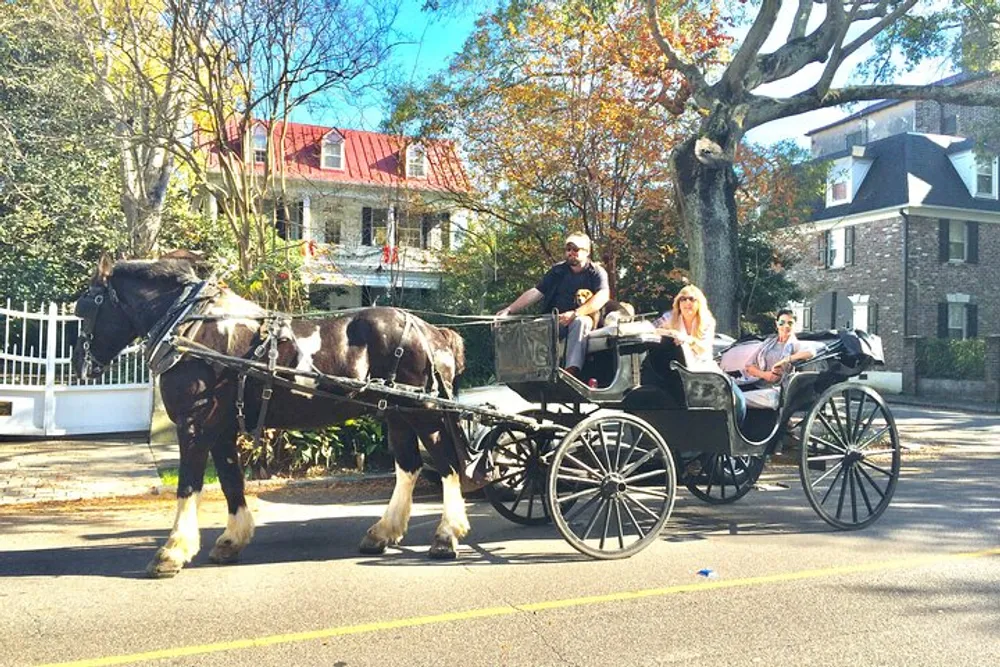 A horse-drawn carriage with two passengers and a driver moves along a tree-lined street reminiscent of a historical or leisurely tour