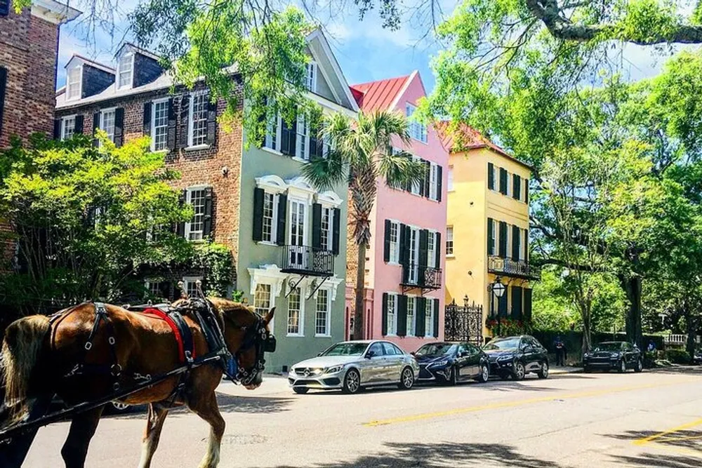 A horse-drawn carriage is seen on a sunny street lined with colorful historic houses and lush green trees