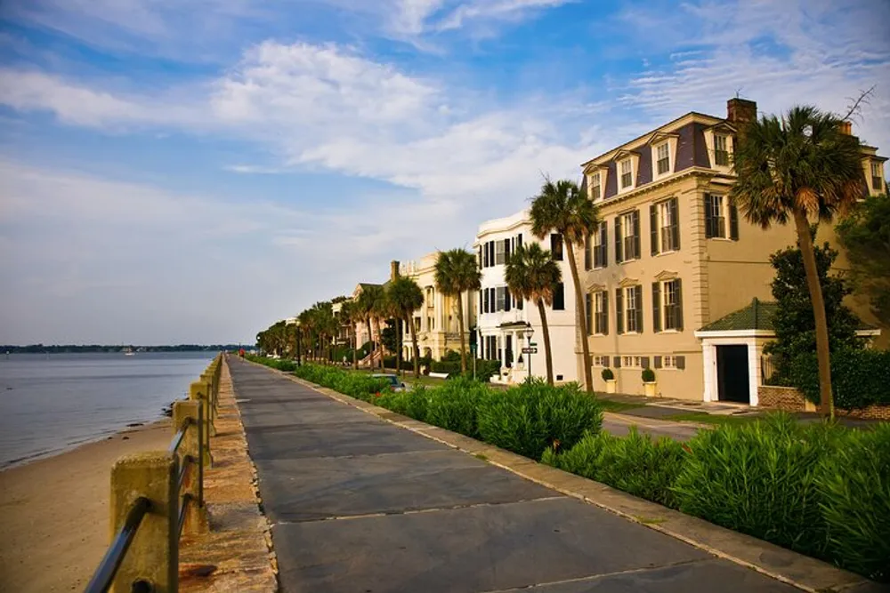 An empty waterfront promenade lines up with a row of elegant houses and tall palm trees under a blue sky