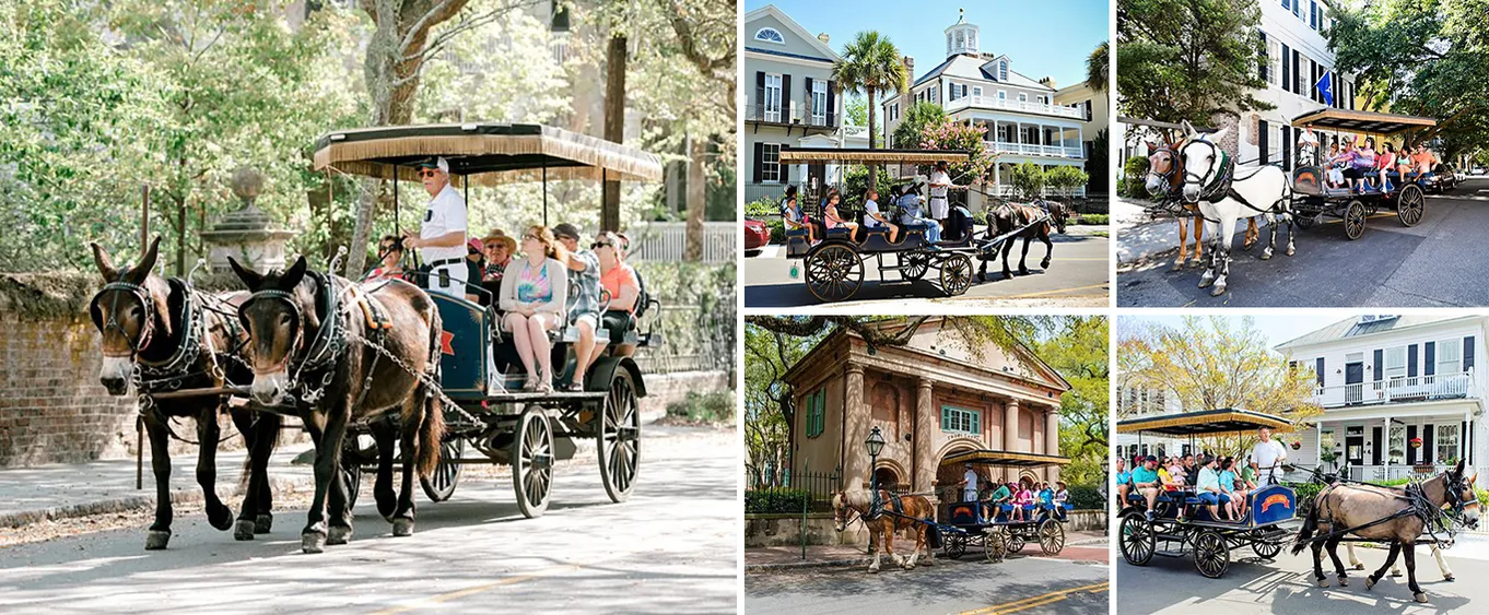 Carriage Tour of Historic Charleston