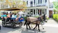 Carriage Tour of Historic Charleston Photo
