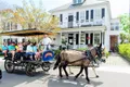 Carriage Tour of Historic Charleston Photo