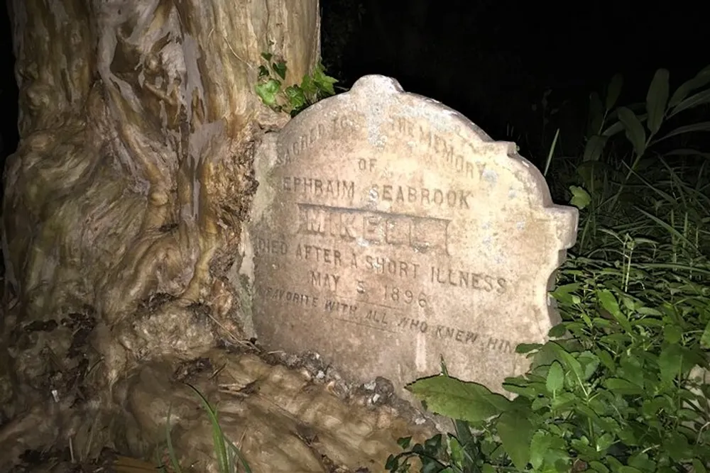 The image shows an old weathered gravestone for Ephraim Seabrook Micklell nestled against a gnarled tree trunk in a verdant setting at night