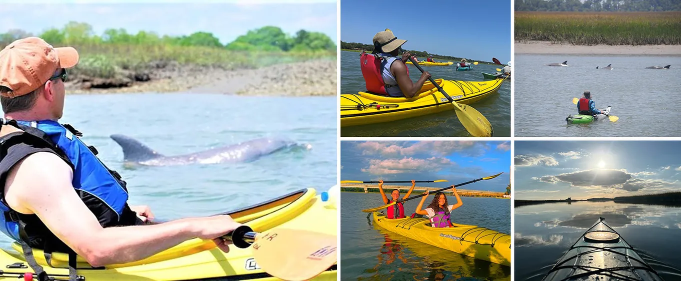 Small-Group, 2-Hour Marsh Kayaking Eco-Tour in Charleston