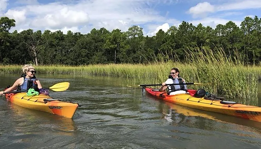 Two people are kayaking on calm water with greenery in the background