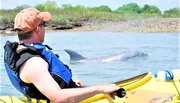 A person in a kayak wearing a life vest looks at a dolphin swimming in the water nearby.