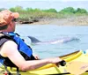 Enjoy dolphins near your kayak 1