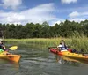 Enjoy dolphins near your kayak 1