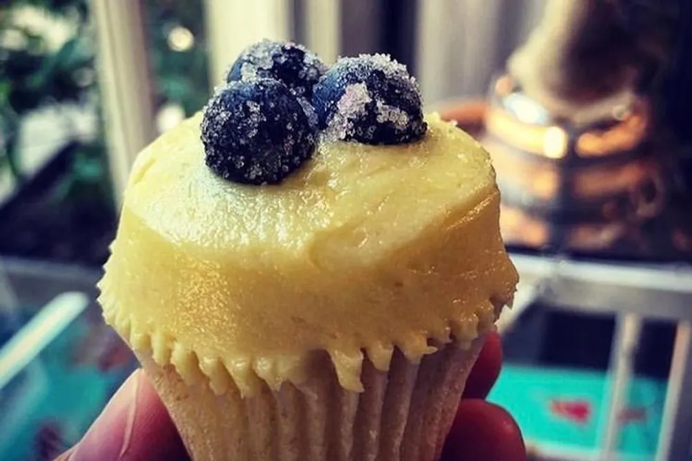 A person is holding a cupcake with yellow frosting and blueberries on top