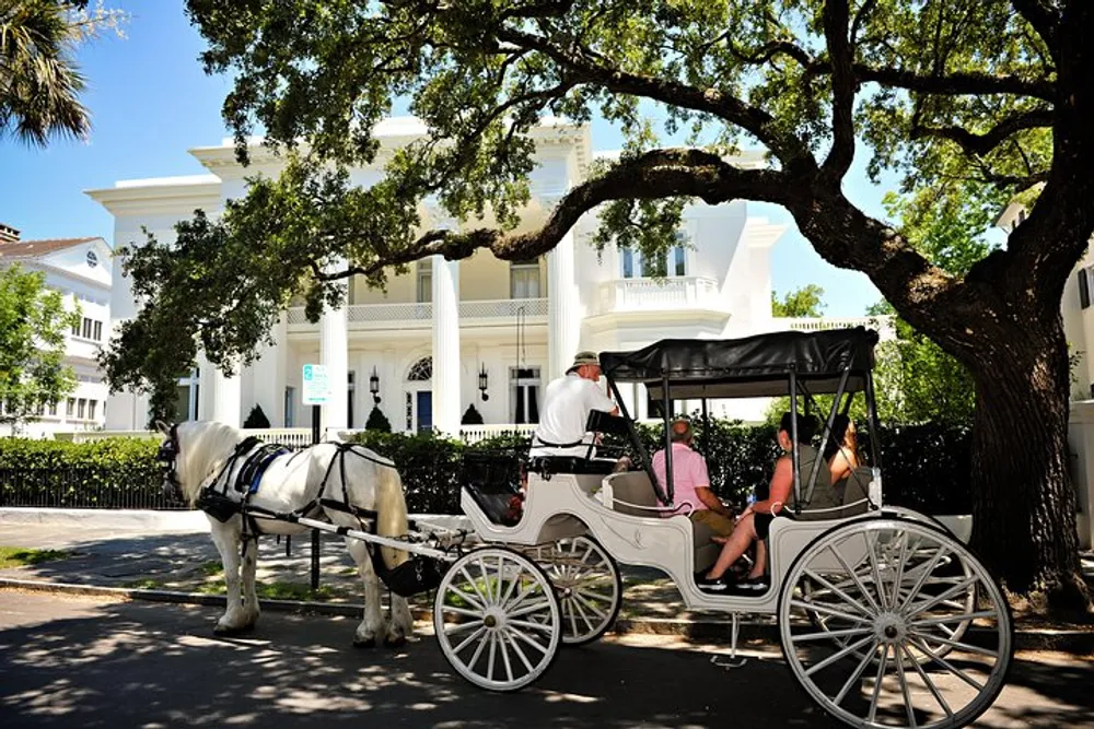 A horse-drawn carriage carries passengers down a shady street lined with grand buildings