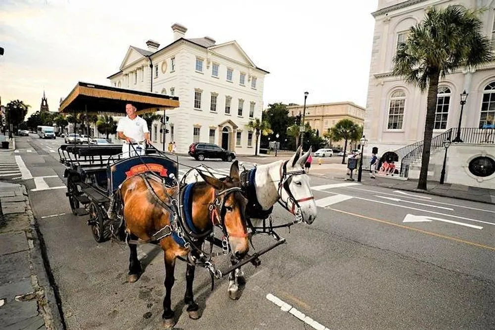 A horse-drawn carriage led by a driver is crossing an urban street with classic-style buildings in the background