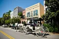 Private Carriage Tour of Historic Charleston Photo