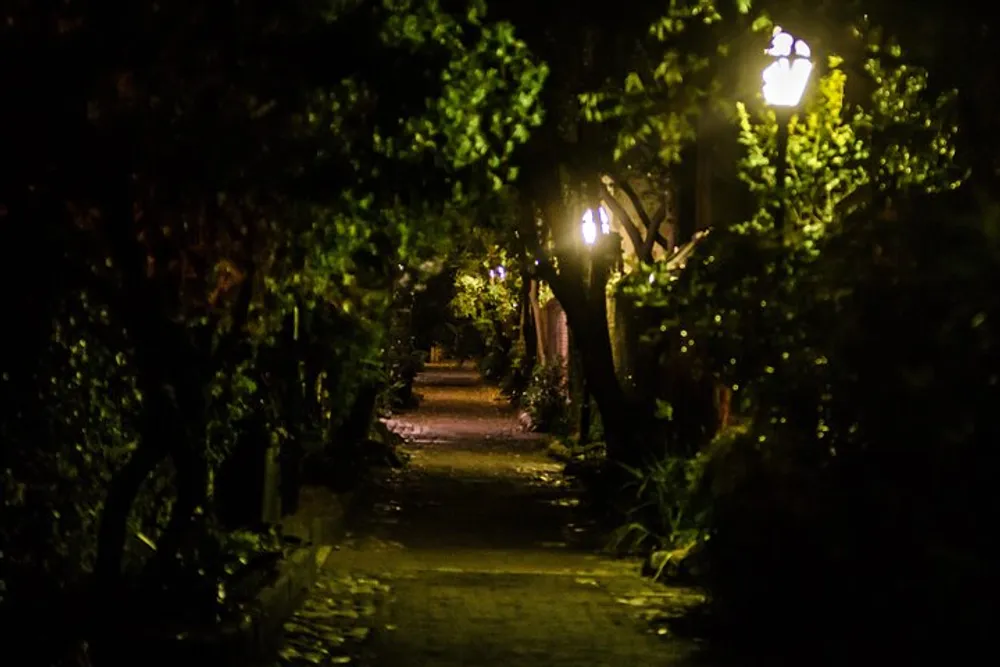 An atmospheric night scene with a cobblestone pathway flanked by lush foliage and illuminated by the warm glow of street lamps