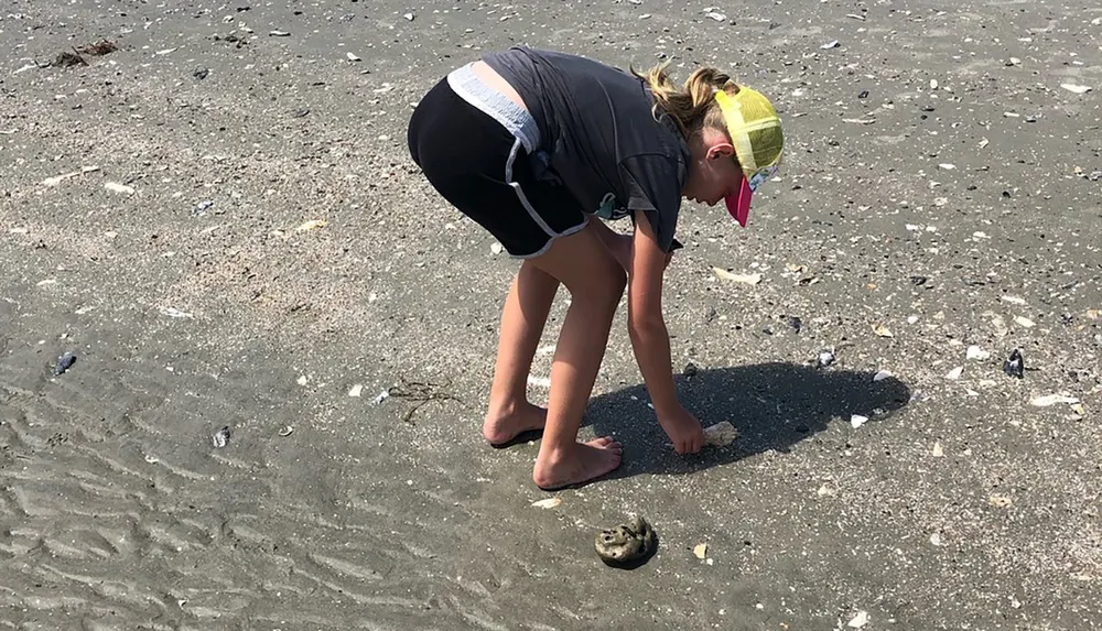 A child is bent over picking up something on a sandy beach with shells scattered around