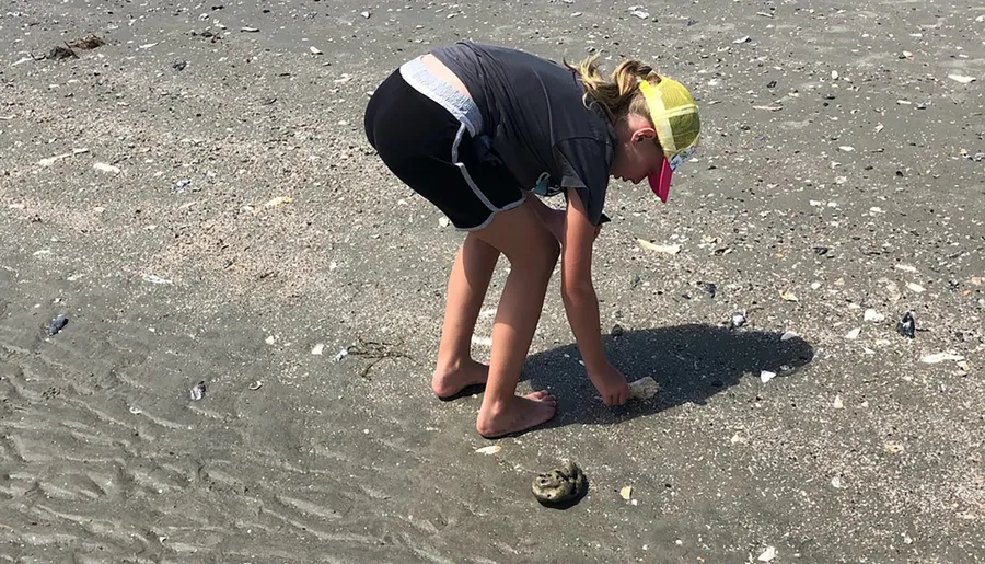 A child is bent over picking up something on a sandy beach with shells scattered around.