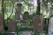 An old, overgrown cemetery with various ornate tombstones amidst lush greenery.