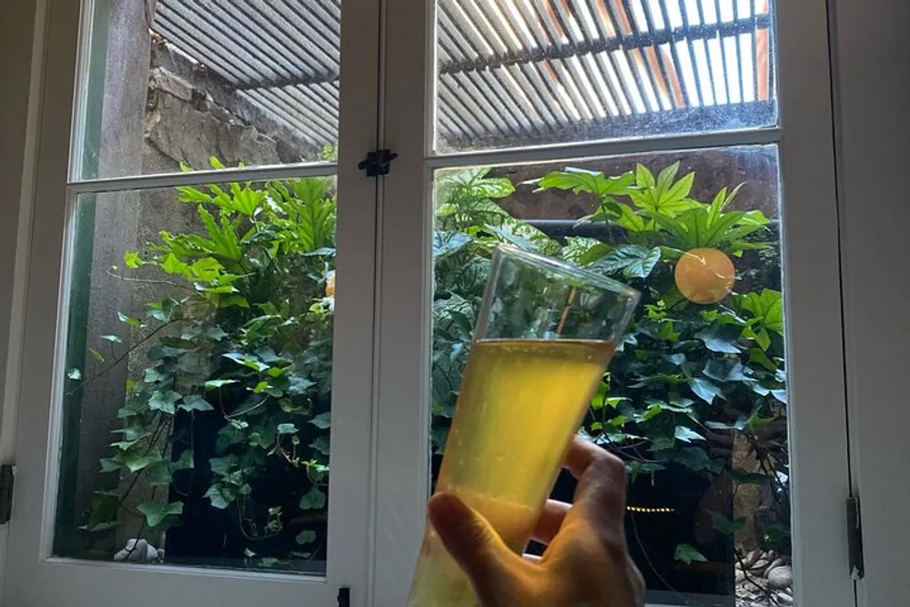 A person is holding a glass of a yellow beverage by a window that offers a view of lush greenery and a corrugated transparent roof