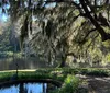 The image captures a serene scene featuring a large tree with Spanish moss draped from its branches overlooking a calm body of water with a small reflection pool in the foreground