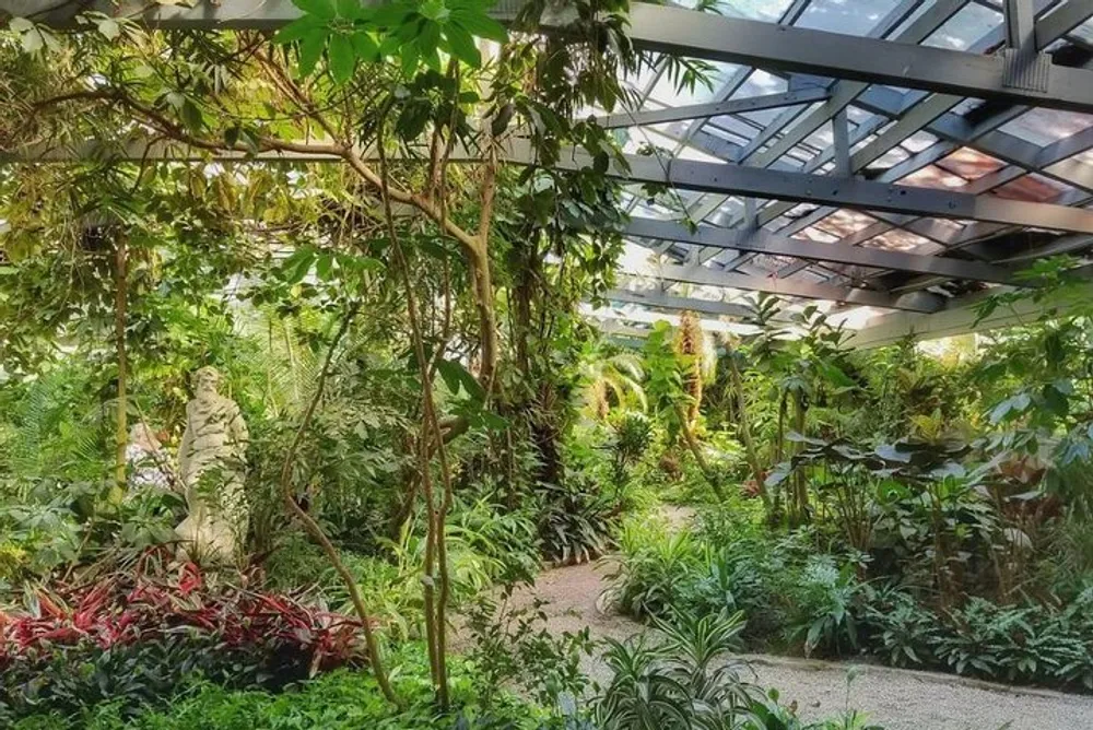 The image shows a lush indoor greenhouse or botanical garden with a variety of plants and a glass ceiling allowing natural light to flood in
