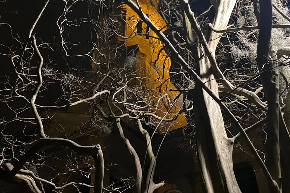 The image shows a tangle of leafless gnarled branches silhouetted against a night sky backlit by the warm glow of a nearby streetlight