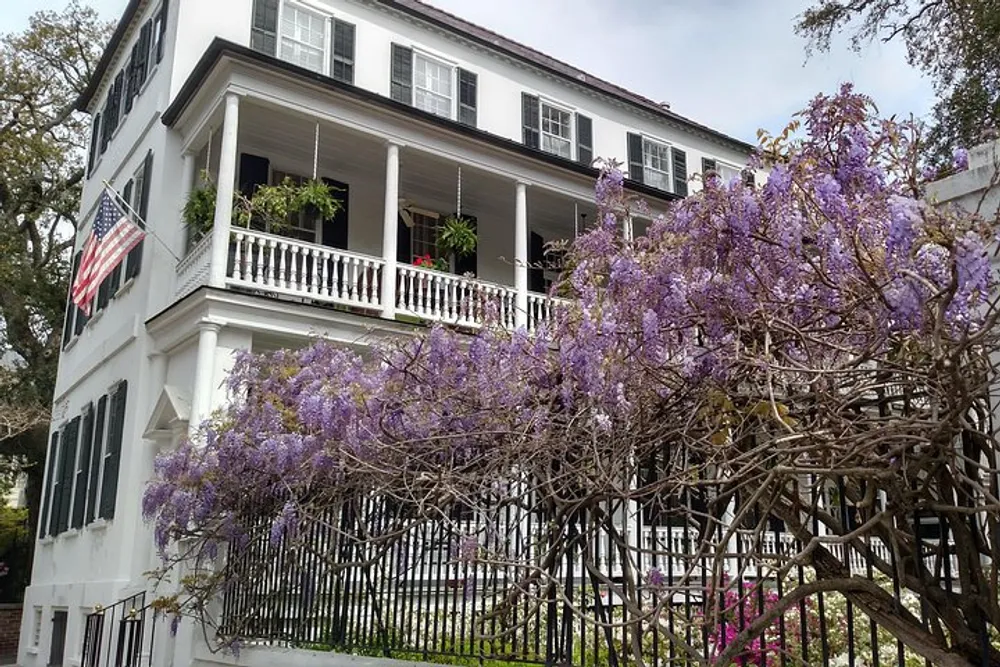 The image depicts a traditional white house with double porches and an American flag framed by beautiful purple wisteria blooms in the foreground