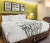 The image shows a neatly arranged hotel room with a green accent wall artistic black and white photographs and a bed with a decorative floral bedspread