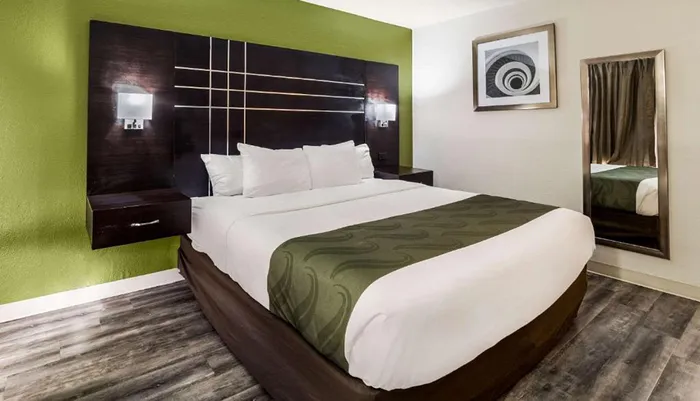 The image shows a modern hotel room with a large bed green accent wall and contemporary furnishings