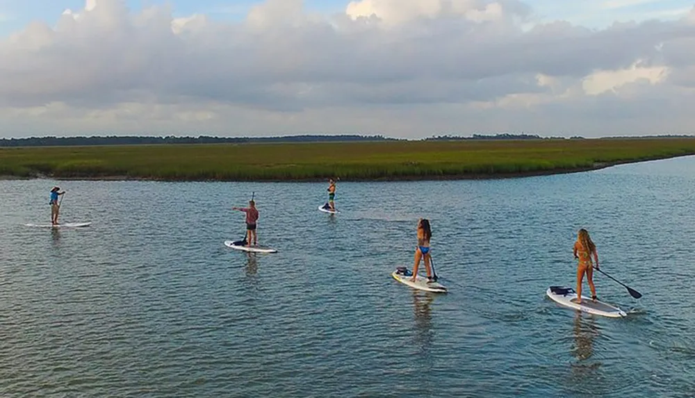 Five people are stand-up paddleboarding on a calm waterway surrounded by grassy wetlands