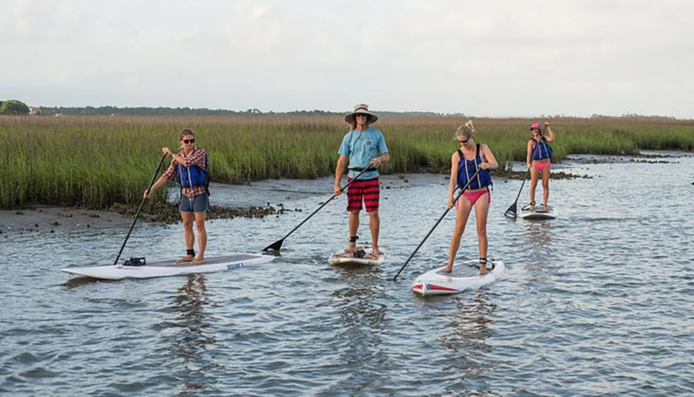 Four people are stand-up paddleboarding through a calm waterway flanked by grassy marshland