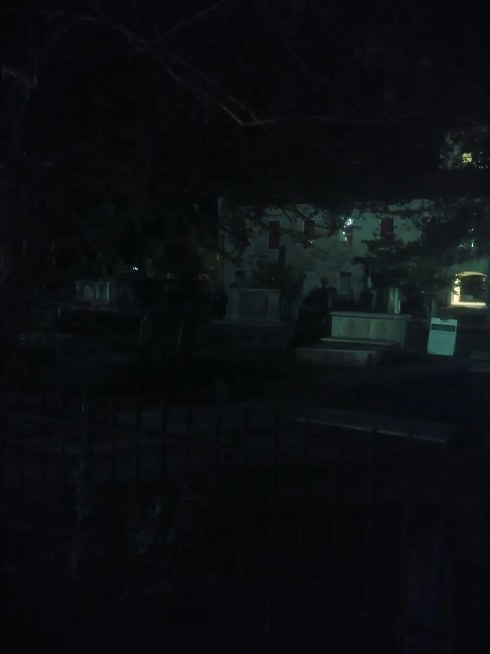 The image depicts a dimly lit outdoor scene at night with silhouettes of trees and a fence possibly in a garden or park with buildings faintly visible in the background