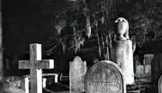 The black and white image shows a hauntingly serene cemetery with various grave markers, including crosses and a prominent headstone with a draped urn, surrounded by draped Spanish moss.