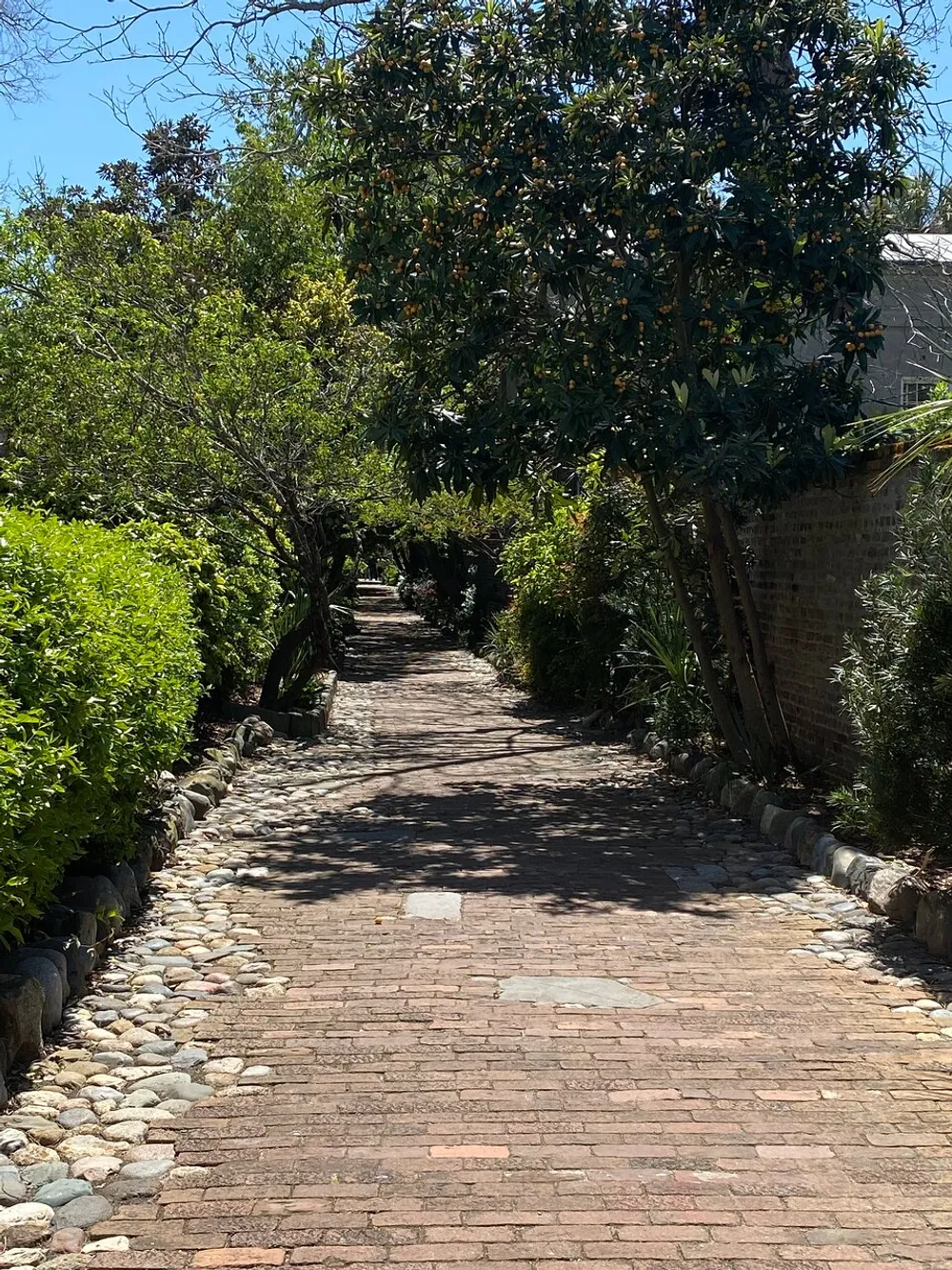 An inviting brick pathway is lined with cobblestones and flanked by lush greenery under a bright blue sky