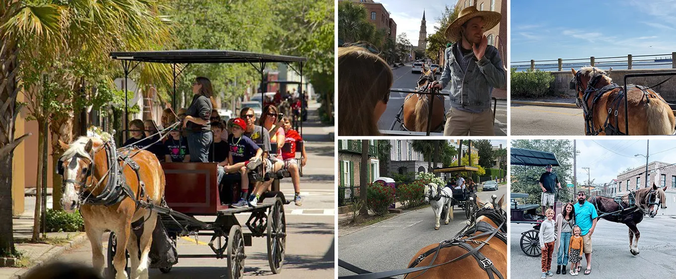Charleston's Historic Residential Horse and Carriage Tour