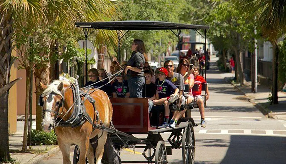 A horse-drawn carriage carries passengers down a sunny tree-lined urban street
