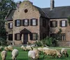 A flock of sheep is grazing on the lawn in front of a large two-story brick house with a distinct architectural style