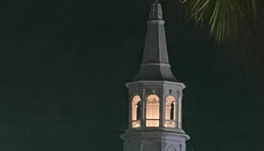 The image shows the illuminated windows of an architectural spire against a dark night sky partially obscured by the silhouette of palm leaves